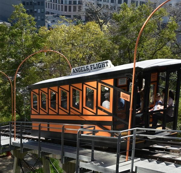 online marketing platform elevation